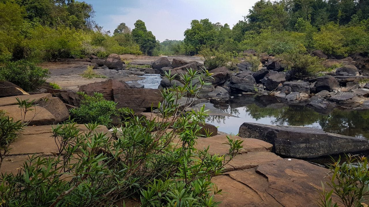 Trekking in the Cardamom Mountains